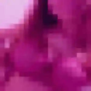 Photo sexy de Mila, 25 ans à Annœullin - rencontre coquine