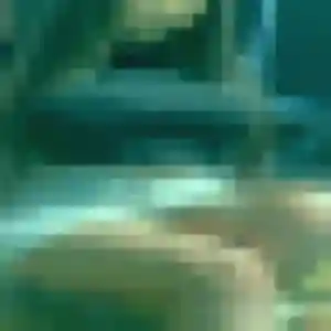 Profil de Anne-Marie à Arpajon-sur-Cère (20 ans) - rencontre cougar gratuit