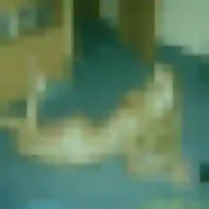 Profil de Xena à Aytré (19 ans) - rencontre cougar anonyme
