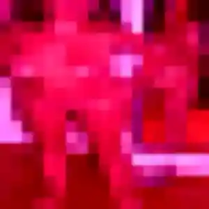Typhaine, 40 ans, connectée à Bandraboua pour une rencontre coquine