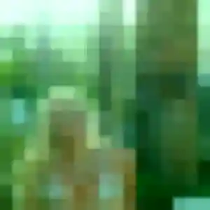 Photo exclusive de Anouk, 20 ans à Beaucouzé - rencontre sans lendemain
