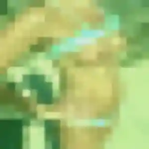 Photo de Perrine à Beaucouzé (26 ans) - rencontre cougar anonyme