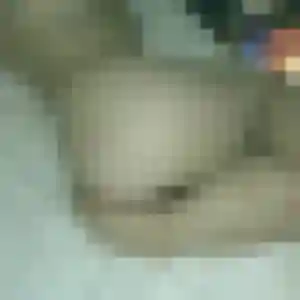 Photo perso de Tatiana, 26 ans à Bellevigny - rencontre coquine