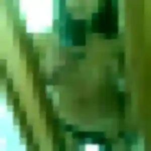 Typhaine, 39 ans, en ligne à Biguglia pour une rencontre coquine