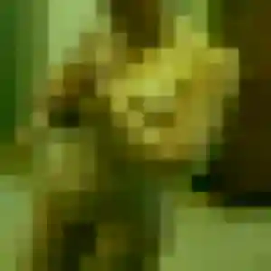 Bettina, 27 ans, dispo pour rencontre cougar à Billère
