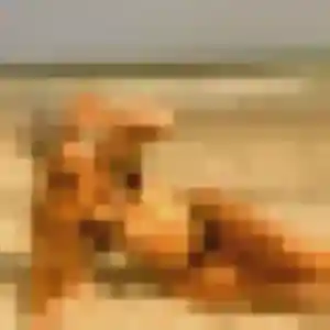 Photo exclusive de Olivia, 45 ans à Bon-Encontre - plan discret