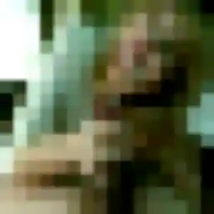 Zina (40 ans) à Brissac Loire Aubance cherche un rencontre cougar rapidement