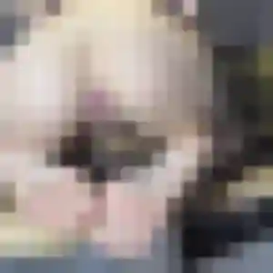 Photo sexy de Anouk, 24 ans à Cachan - rencontre coquine