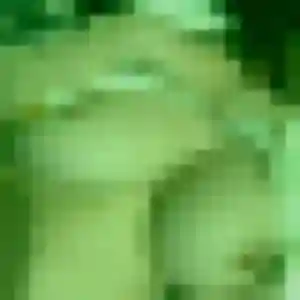 Fleur, 40 ans, disponible à Calvisson pour une rencontre coquine