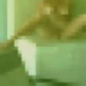 Noura, fille de 44 ans veut rencontre cougar à Carpentras