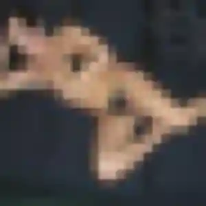 Chloe, femme de 44 ans veut rencontre cougar à Chevreuse