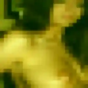 Johanna, 21 ans, cherche un rencontre cougar à Chirongui