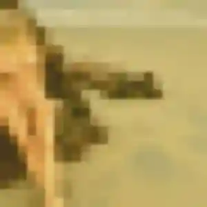 Coralie, 41 ans, disponible à Commentry pour une rencontre coquine