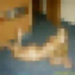 Khadija, femme de 36 ans cherche rencontre cougar à Corbeil-Essonnes