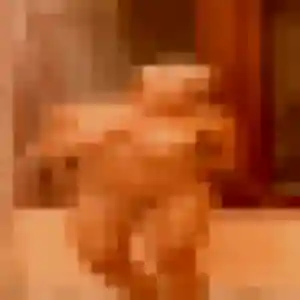 Irene, 41 ans, disponible à Courcelles-lès-Lens pour une rencontre coquine