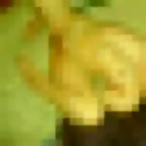 Photo sexy de Zoe, 33 ans à Faverges-Seythenex - rencontre sans lendemain