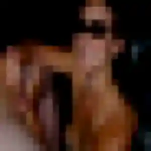 Delice, 31 ans, cherche un rencontre cougar à Fenouillet