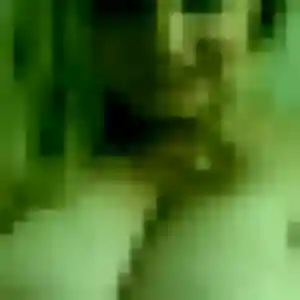 Profil de Celia à Fismes (34 ans) - rencontre cougar sans inscription