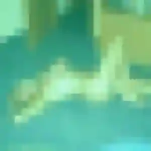 Bernadette, 33 ans, cherche un rencontre cougar à Fleury-sur-Orne
