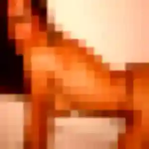 Profil de Clemence à Frouzins (29 ans) - rencontre cougar gratuit