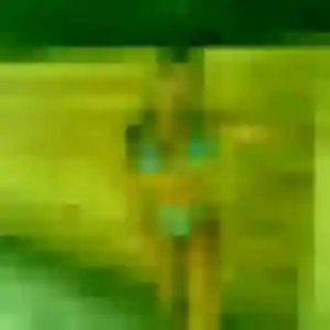 Bernadette, 38 ans, en ligne à Genas pour une rencontre coquine