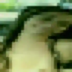 Domitille, femme de 19 ans cherche rencontre cougar à Genlis
