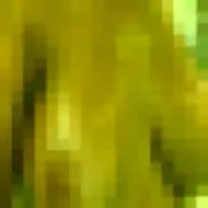 Photo privée de Debora, 20 ans à Gigean - plan discret