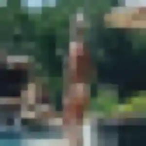 Lily, 28 ans, cherche un rencontre cougar à Guingamp
