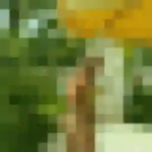 Photo sexy de Ariane, 31 ans à Guipavas - plan discret