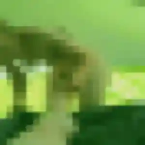 Photo perso de Eliane, 27 ans à Guipavas - plan discret