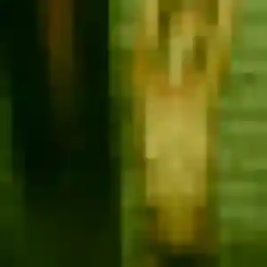 Vanessa de Hauts de Bienne, 35 ans - rencontre cougar discret