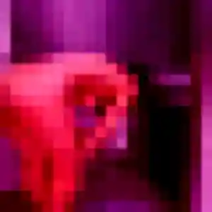 Photo de Wahiba à Jouy-le-Moutier (45 ans) - rencontre cougar anonyme
