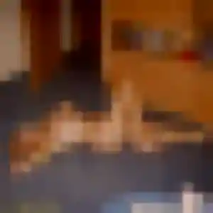 Hajar de Kembs, 20 ans - rencontre cougar sans prise de tête