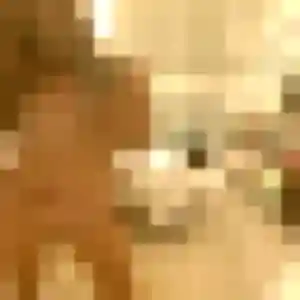 Marie, 20 ans, connectée à La Ferté Macé pour un rencontre cougar