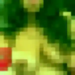 Profil de Elsa à La Madeleine (37 ans) - rencontre cougar gratuit
