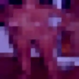 Profil de Siham à La Valette-du-Var (26 ans) - rencontre cougar discret