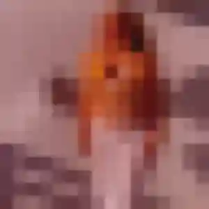 Gwenaelle, fille de 34 ans cherche rencontre cougar à Lamorlaye
