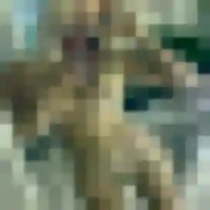 Rosalie, 24 ans, dispo pour rencontre cougar à Les Ponts-de-Cé