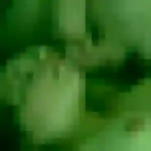 Photo de Solene à Loison-sous-Lens (38 ans) - rencontre cougar anonyme