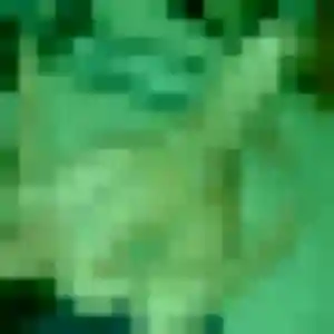 Delice de Loos, 45 ans - rencontre cougar sans prise de tête