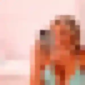 Yvette, fille de 35 ans cherche rencontre cougar à Marly