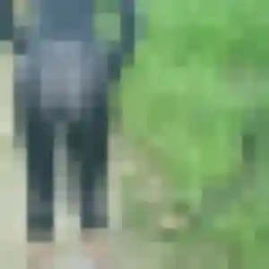 Photo perso de Valentine, 45 ans à Maule - rencontre sans lendemain