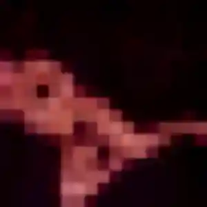 Lisette, 44 ans, cherche un rencontre cougar à Melun