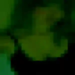 Photo privée de Brune, 43 ans à Montélimar - rencontre coquine