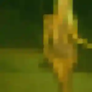 Photo exclusive de Delphine, 44 ans à Montrevault-sur-Èvre - rencontre coquine