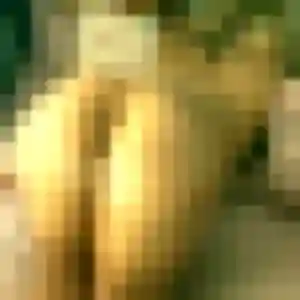 Touria, femme de 20 ans propose rencontre cougar à Morsang-sur-Orge