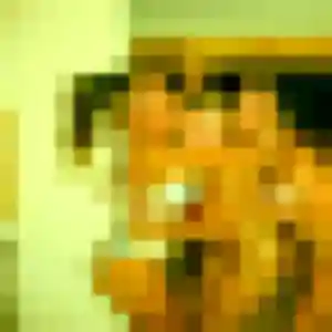 Photo exclusive de Lea, 19 ans à Muret - rencontre coquine