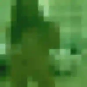 Photo de Elise à Noves (40 ans) - rencontre cougar gratuit