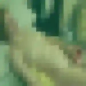 Bertille, 31 ans, disponible à Oullins-Pierre-Bénite pour une rencontre coquine
