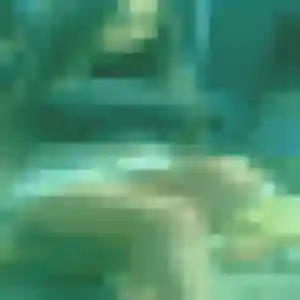 Dorothee, femme de 34 ans cherche rencontre cougar à Palavas-les-Flots